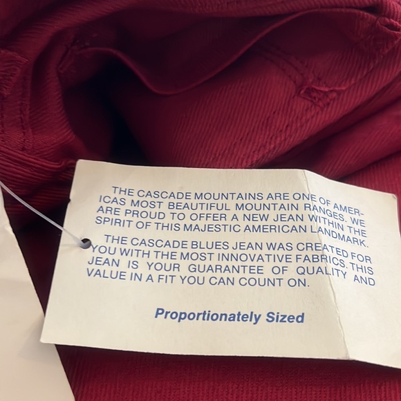 NWT (CASCADE BLUES) ladies pants,made in USA size (18 missy - 4 ) wine color - Picture 9 of 16